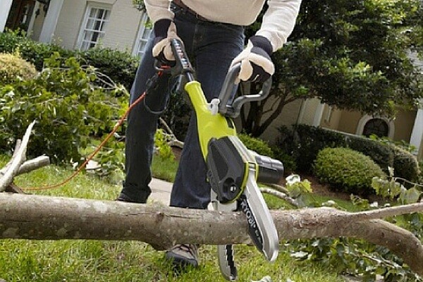 Electric pruner: the pros and cons of the tool