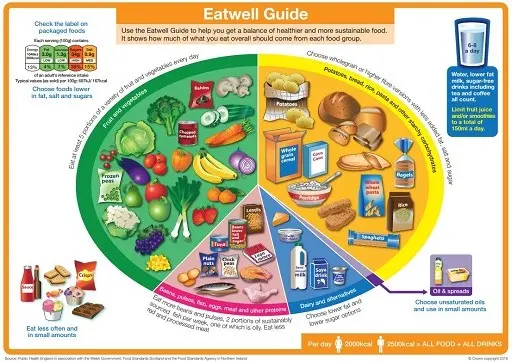 Elements of a healthy diet