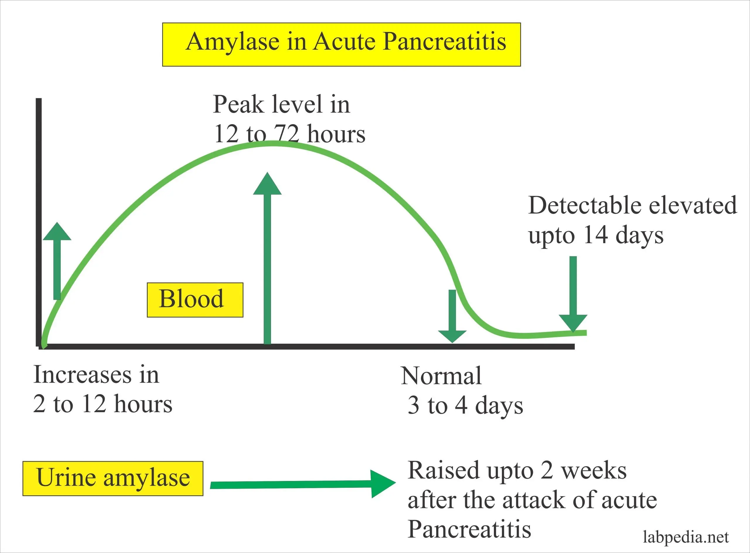 Elevated lipase and pancreatitis