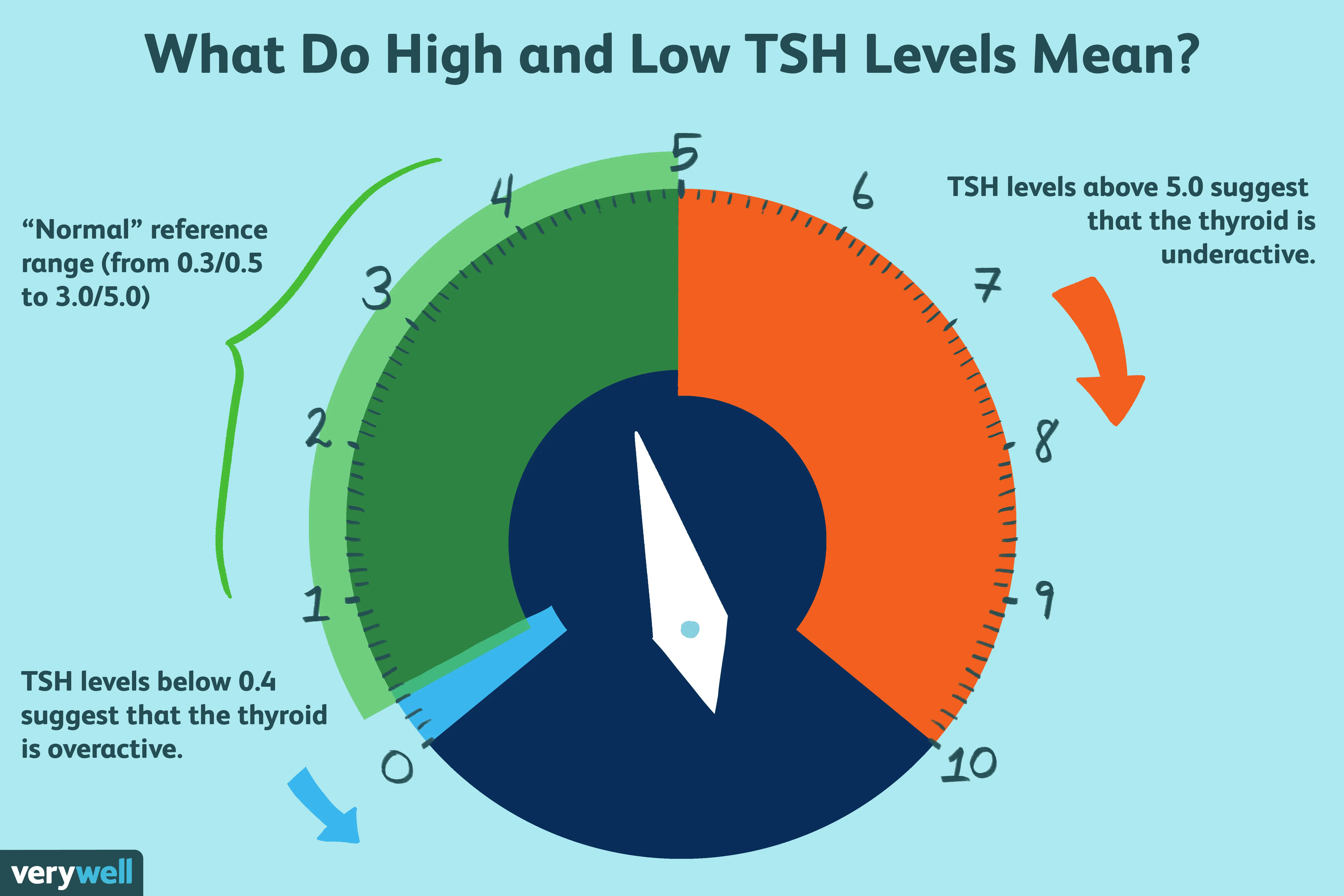 Elevated TSH &#8211; what can it show?