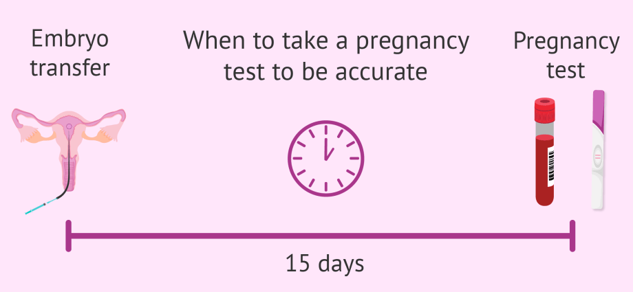 Embryo implantation &#8211; how long does it take, when to do a pregnancy test? What do you need to know about embryo implantation?