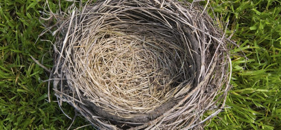 Empty nest