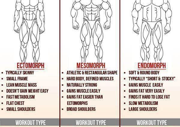 Endomorphs &#8211; characteristics, diet, training. What can a person who is harder to lose weight do?