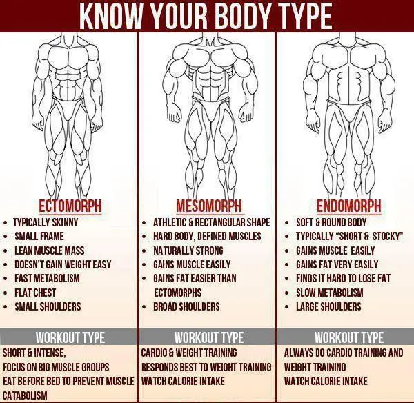 Endomorphs &#8211; characteristics, diet, training. What can a person who is harder to lose weight do?