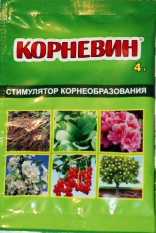 Energen: instructions for seeds and seedlings, plants, flowers, composition, reviews