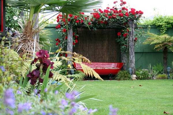 English roses in garden design + photo