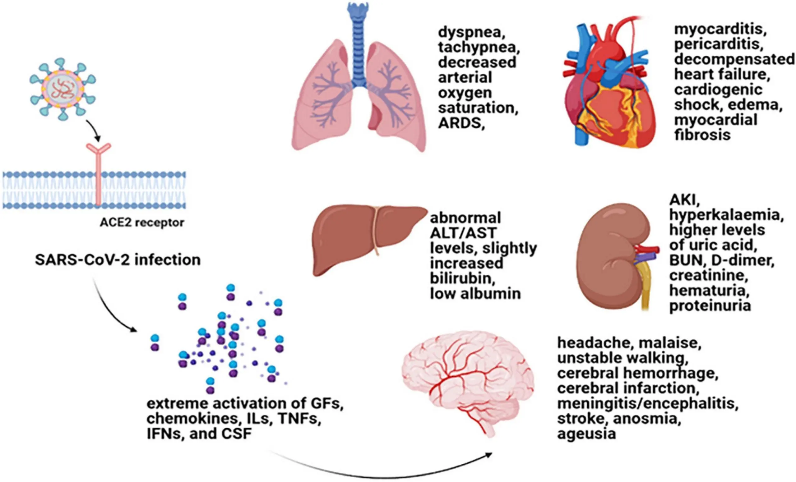 Epilepsy and stroke after COVID-19. &#8220;One of the destructive features of this virus&#8221;