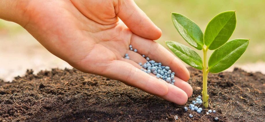 Epin extra for seedlings: characteristics, methods of application, benefits