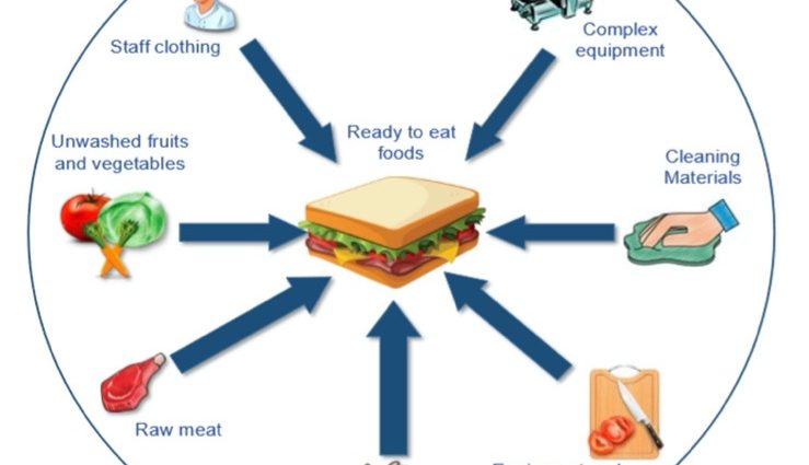 Escherichia coli &#8211; E. coli infection. Treatment and prevention