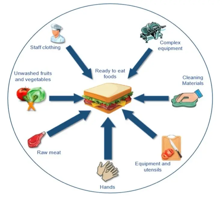 Escherichia coli &#8211; E. coli infection. Treatment and prevention