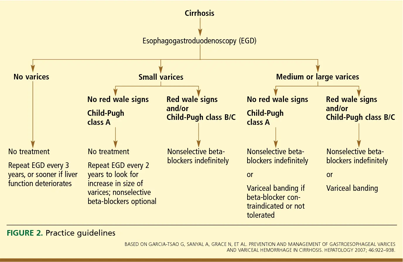 Esophageal varices &#8211; treatment, prevention