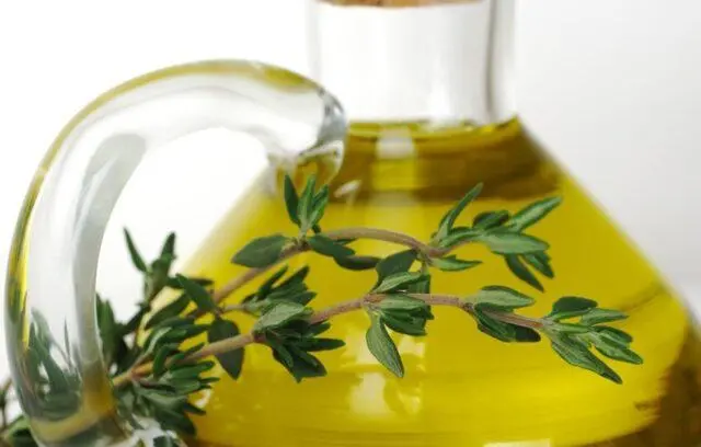 Essential oil of thyme (thyme): useful properties, application, instructions, reviews