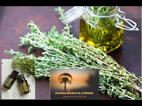 Essential oil of thyme (thyme): useful properties, application, instructions, reviews