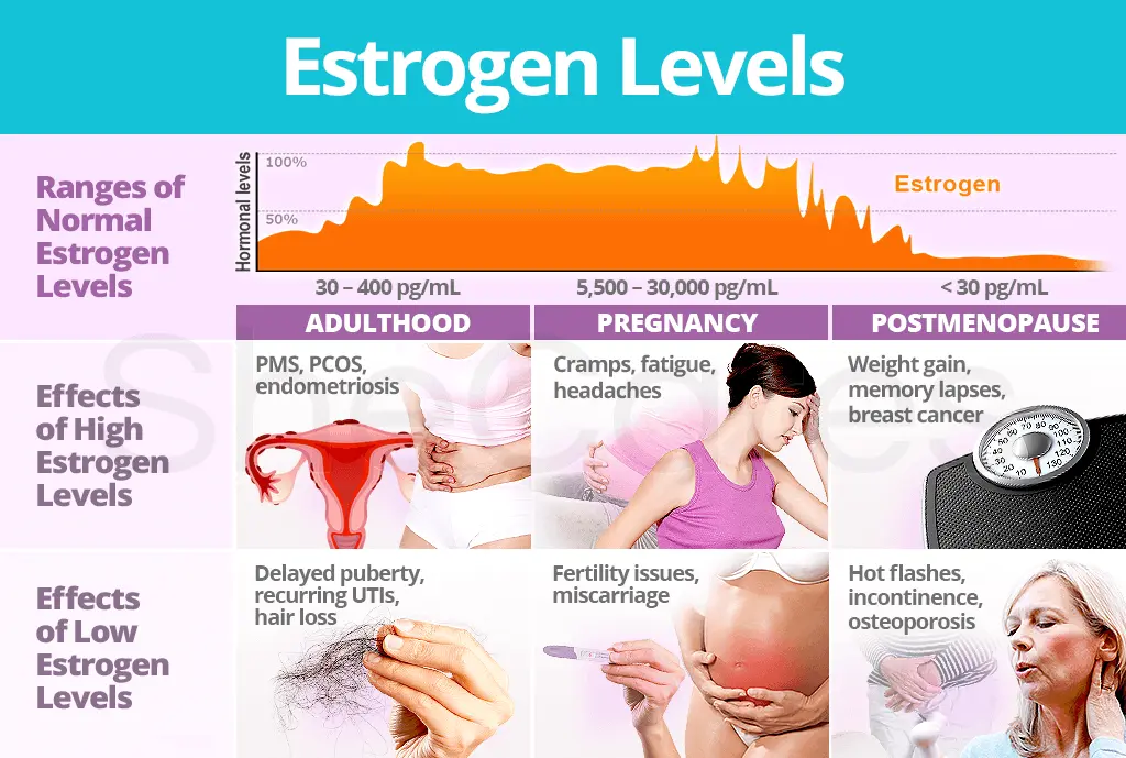 Estrogen Levels &#8211; Does High Hormone Level Affect Your Health?