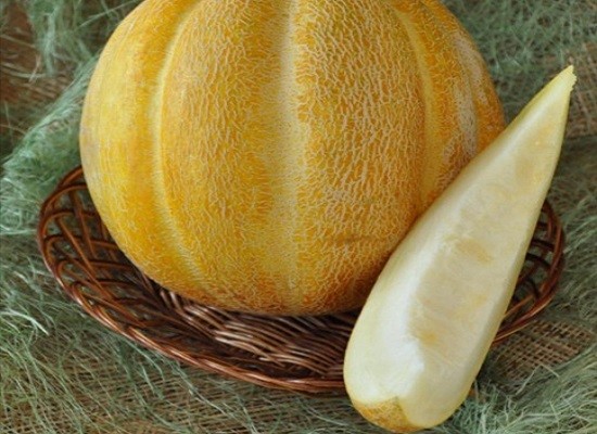 Ethiopian melon: reviews and description