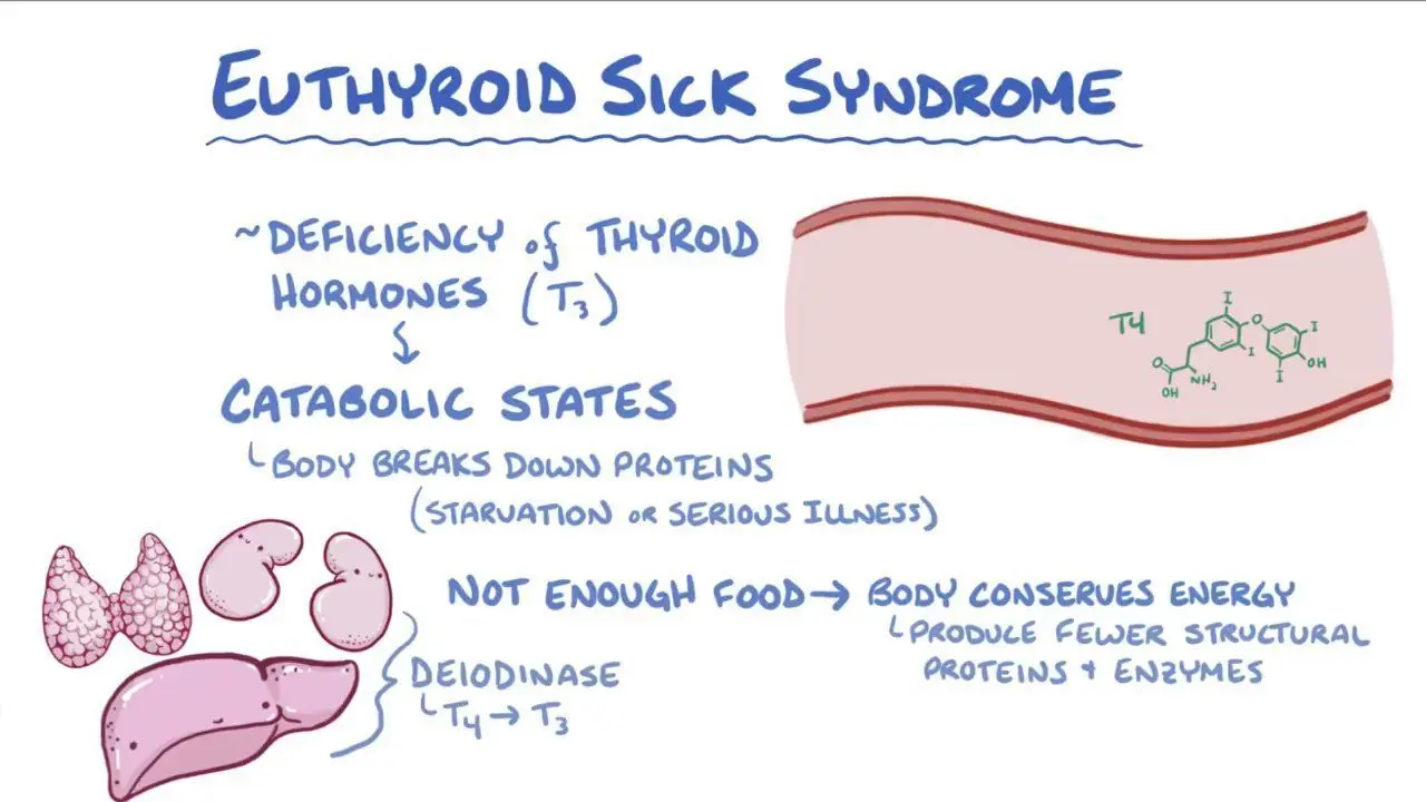 Euthyroidism &#8211; description, diseases of the thyroid gland with euthyroidism