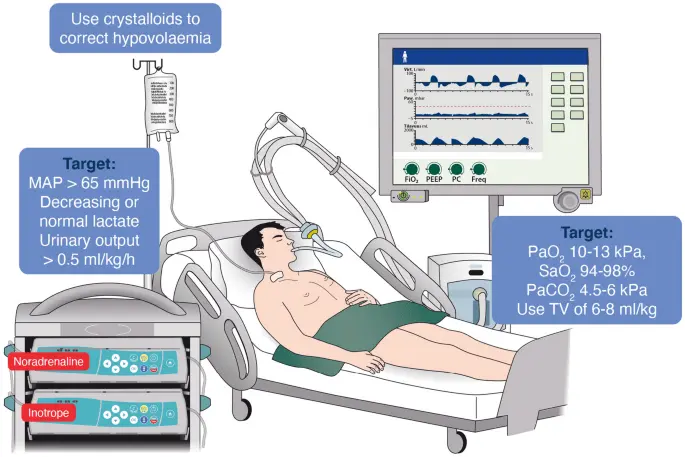 Every day 90 Poles die of sudden cardiac arrest. This can be prevented