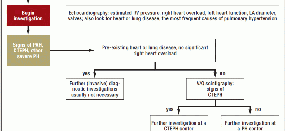 Every fifth young adult suffers from arterial hypertension