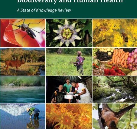 Every fourth Pole has hypertension, every fifth has allergies and asthma. Several dozen percent of us do not see a doctor. What will our health situation look like next year?