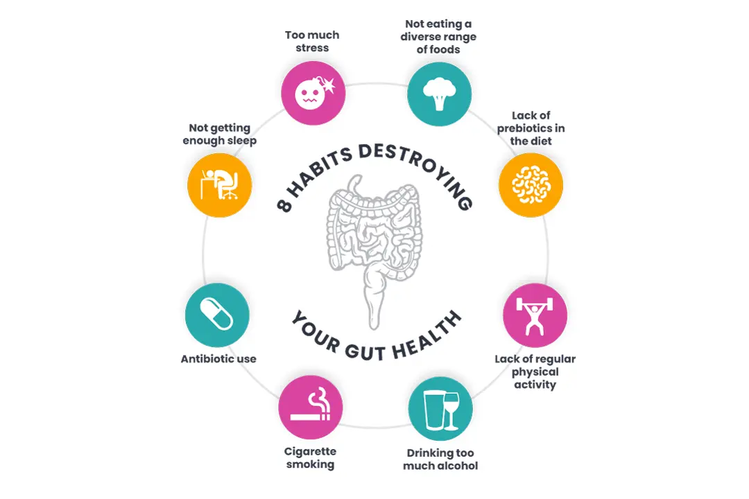 Everyday habits that lead to intestinal dysbiosis