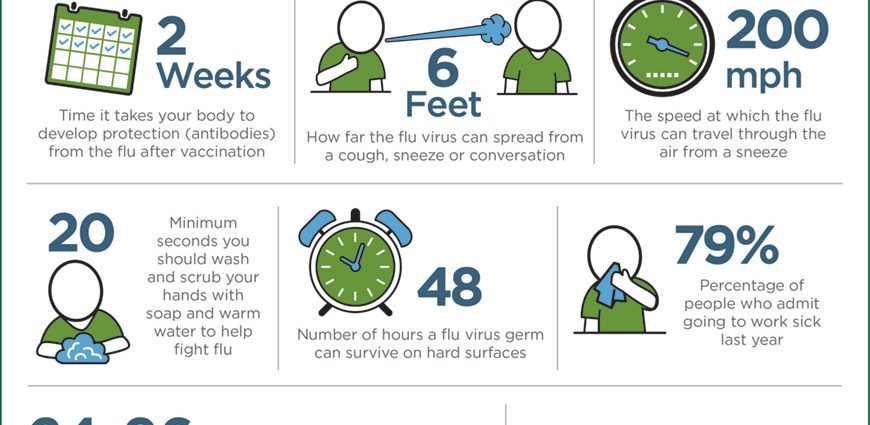 Everything about the flu