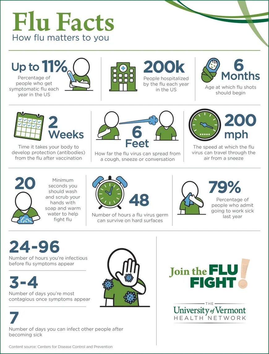 Everything about the flu