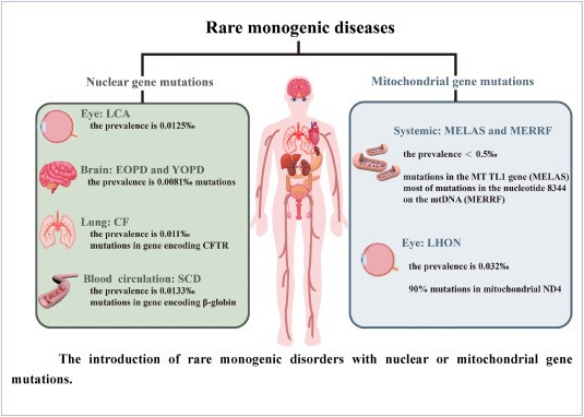 Examples of diseases caused by monogenic disorders