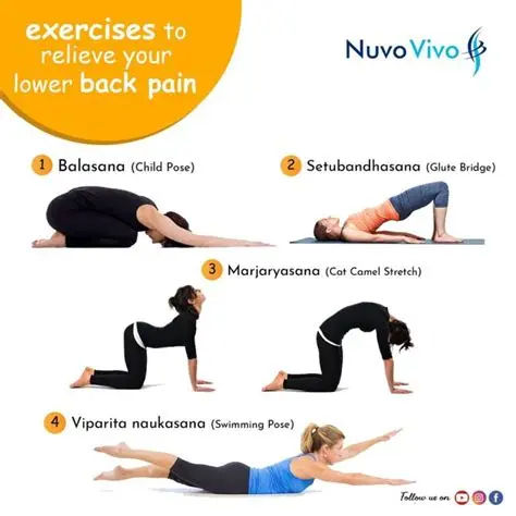 Exercises for the back &#8211; for beginners, for advanced ones, for back pain. How to exercise your back?