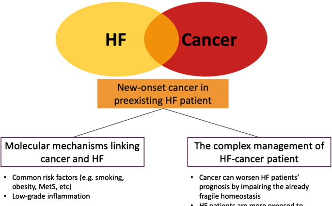 Expert: Heart failure more dangerous than many cancers