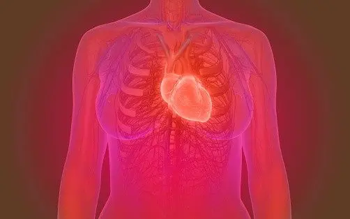 Expert: It is women, not men, who are the main victims of heart attacks