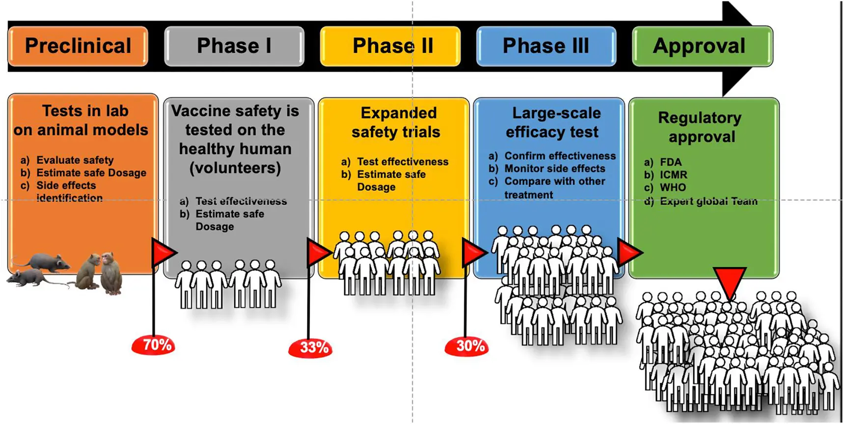 Expert: Shortening the time between vaccine doses is justified