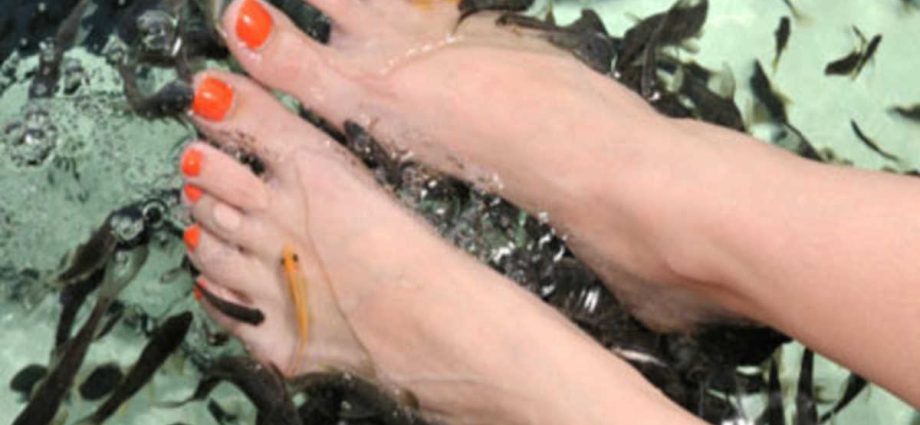 Experts: A fish pedicure could end up with a bacterial infection