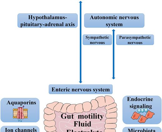 Experts: constipation must not be taken lightly