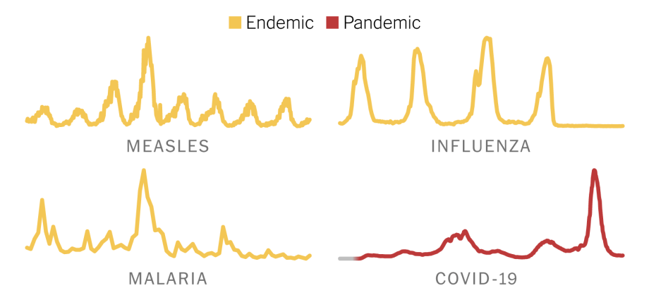 Experts: COVID-19 will become endemic. What does this mean for us? [WE EXPLAIN]