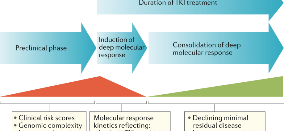 Experts on the prospects of chronic myeloid leukemia treatment