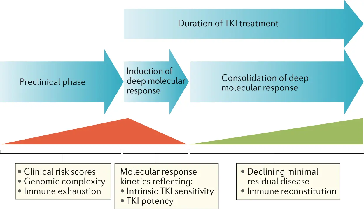 Experts on the prospects of chronic myeloid leukemia treatment