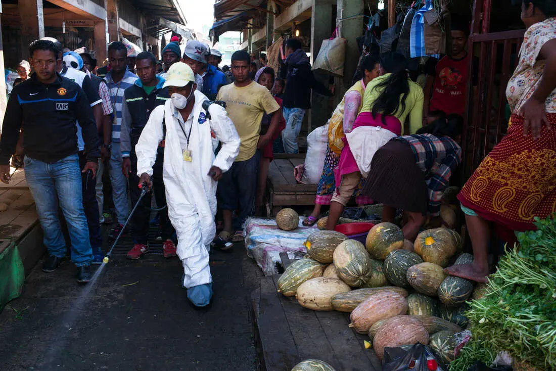 Experts warn: an epidemic of plague may break out in Madagascar