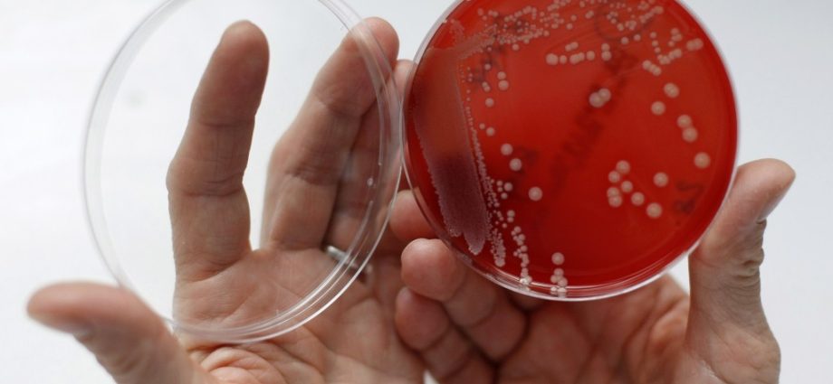 Experts warn of another global threat. They are superbugs