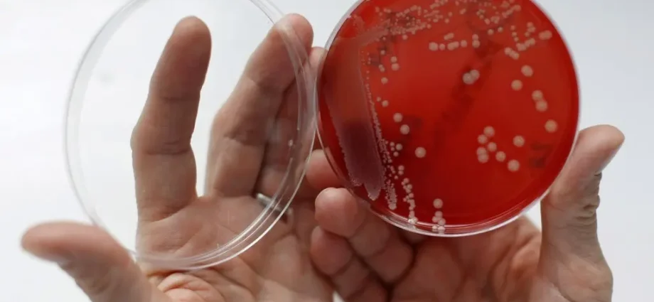 Experts warn of another global threat. They are superbugs