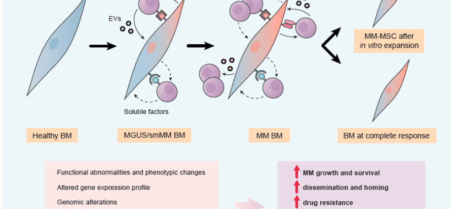 Experts: We are facing an explosion of new drugs for multiple myeloma