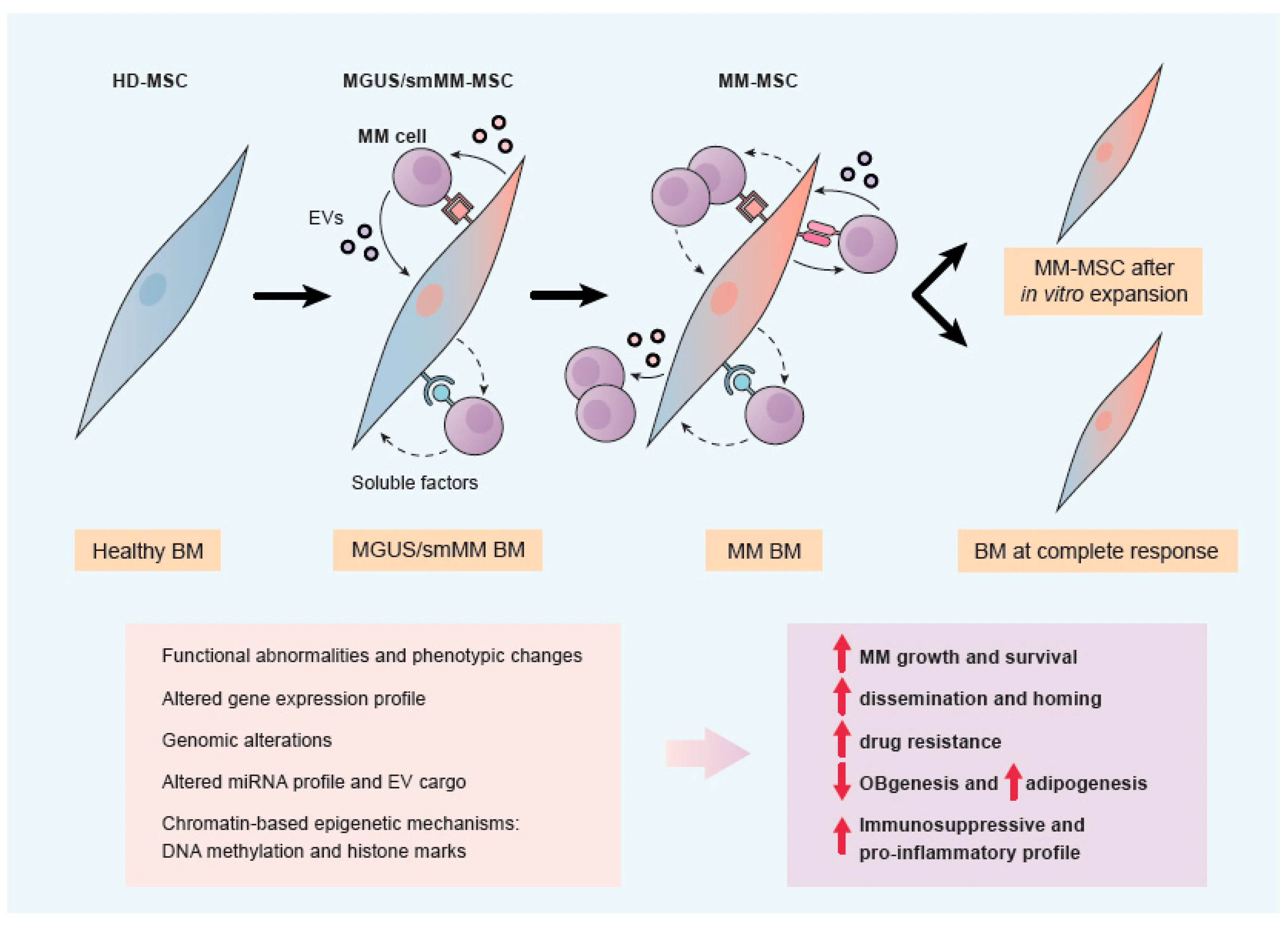 Experts: We are facing an explosion of new drugs for multiple myeloma