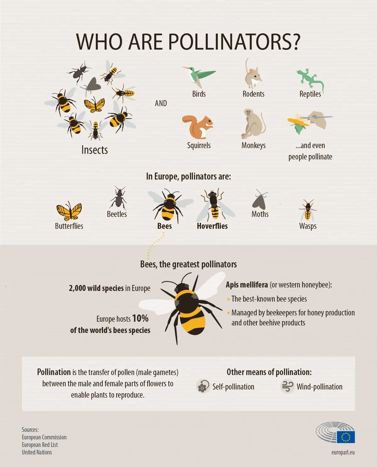 Extinction of bees: causes and consequences