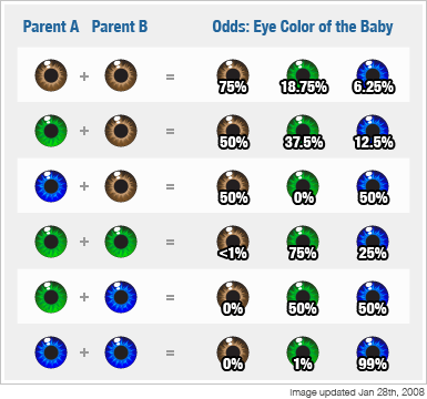 Eye colors &#8211; rules of inheritance