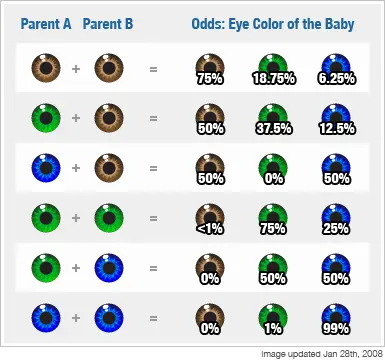 Eye colors &#8211; rules of inheritance