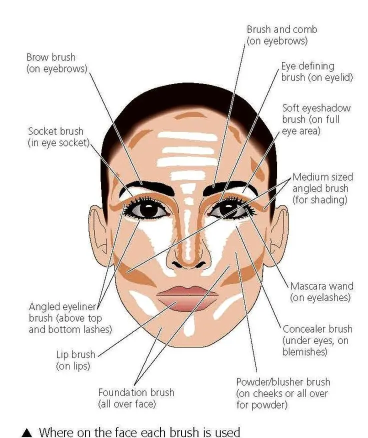 Face contouring &#8211; rules, cosmetics, brushes. Step by step face contouring