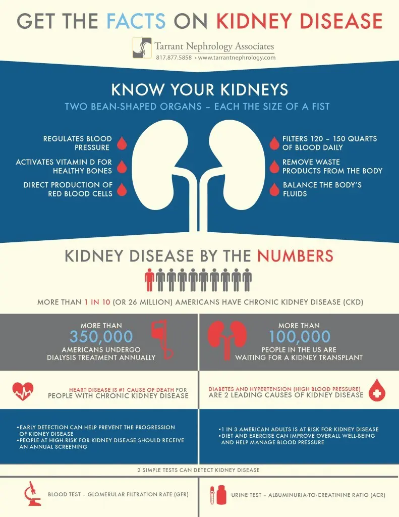 Facts about dialysis therapy