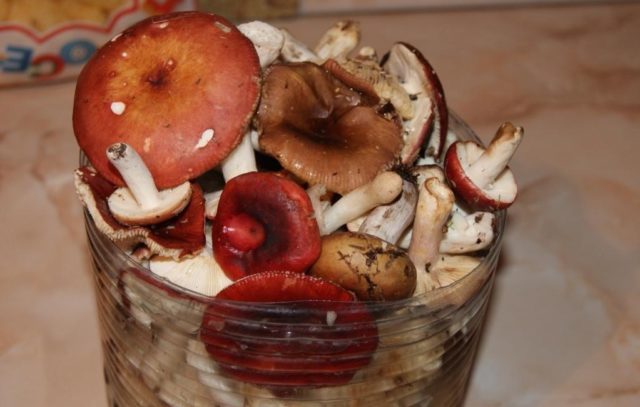 False russula: photos, symptoms of poisoning, how to distinguish