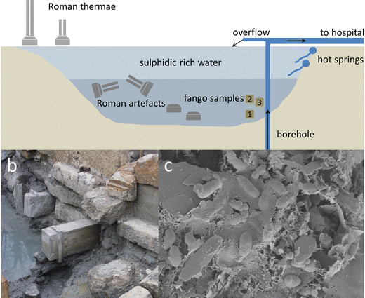 Fango &#8211; application, course, indications. Mud treatment for a healthy organism