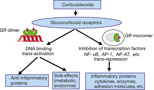 Fanipos with an anti-inflammatory effect. When to use