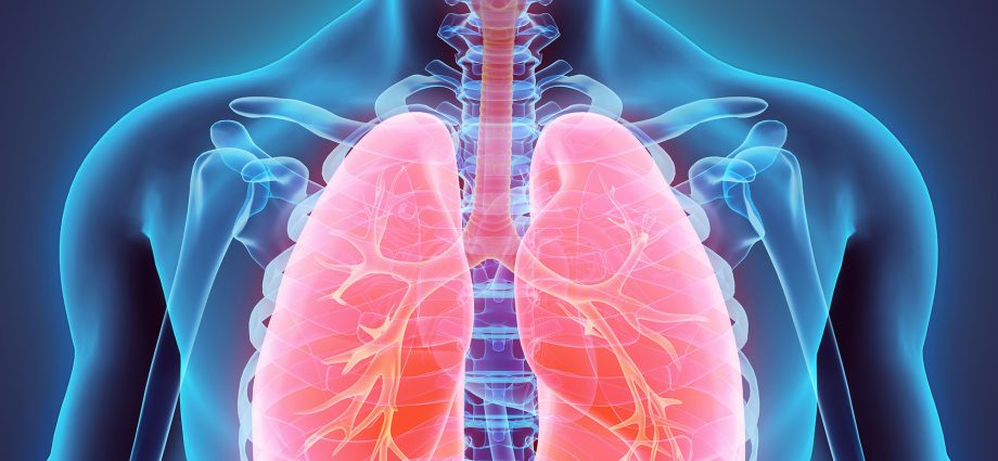 Fat in the lungs. More and more is known about the dire consequences of obesity